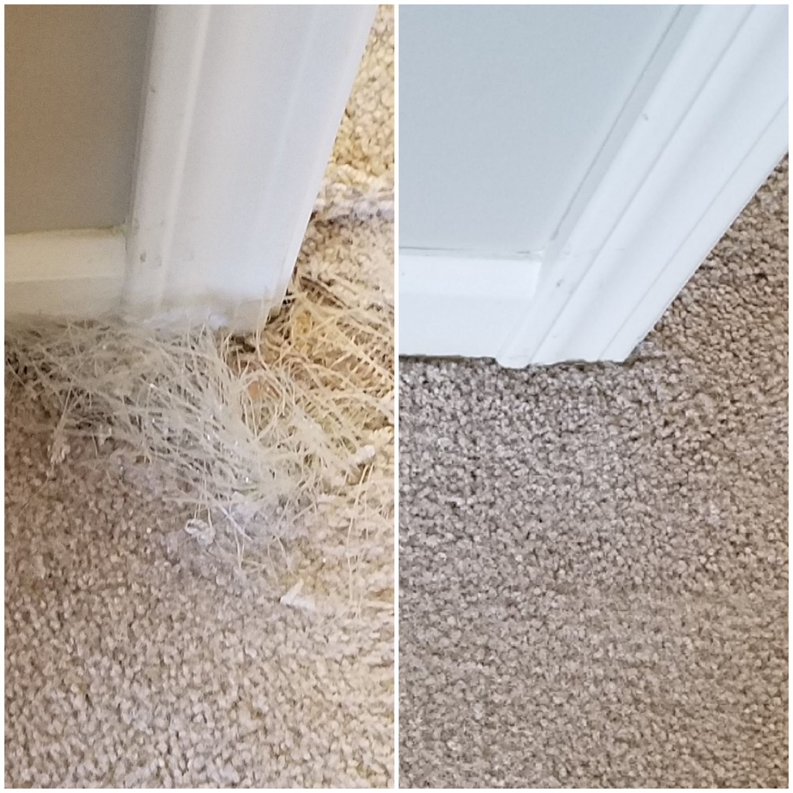 Carpet repair
